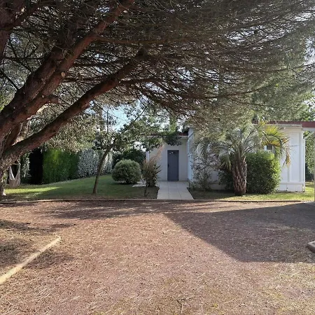 Maison De Proche *